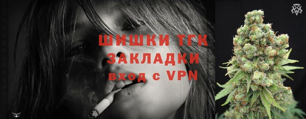 дживик Бородино