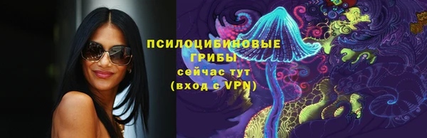 дживик Бородино