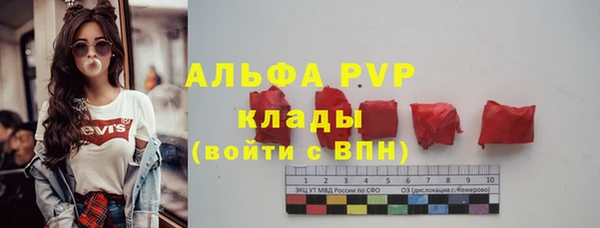 дживик Бородино