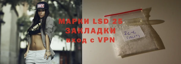 дживик Бородино