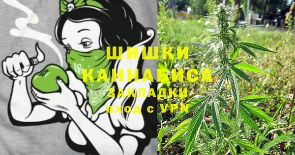 дживик Бородино