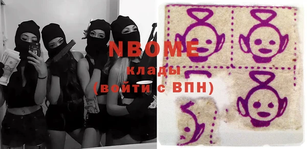 дживик Бородино